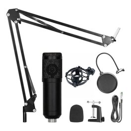 Microfono Condenser P/PC C/brazo, Soporte y Filtro